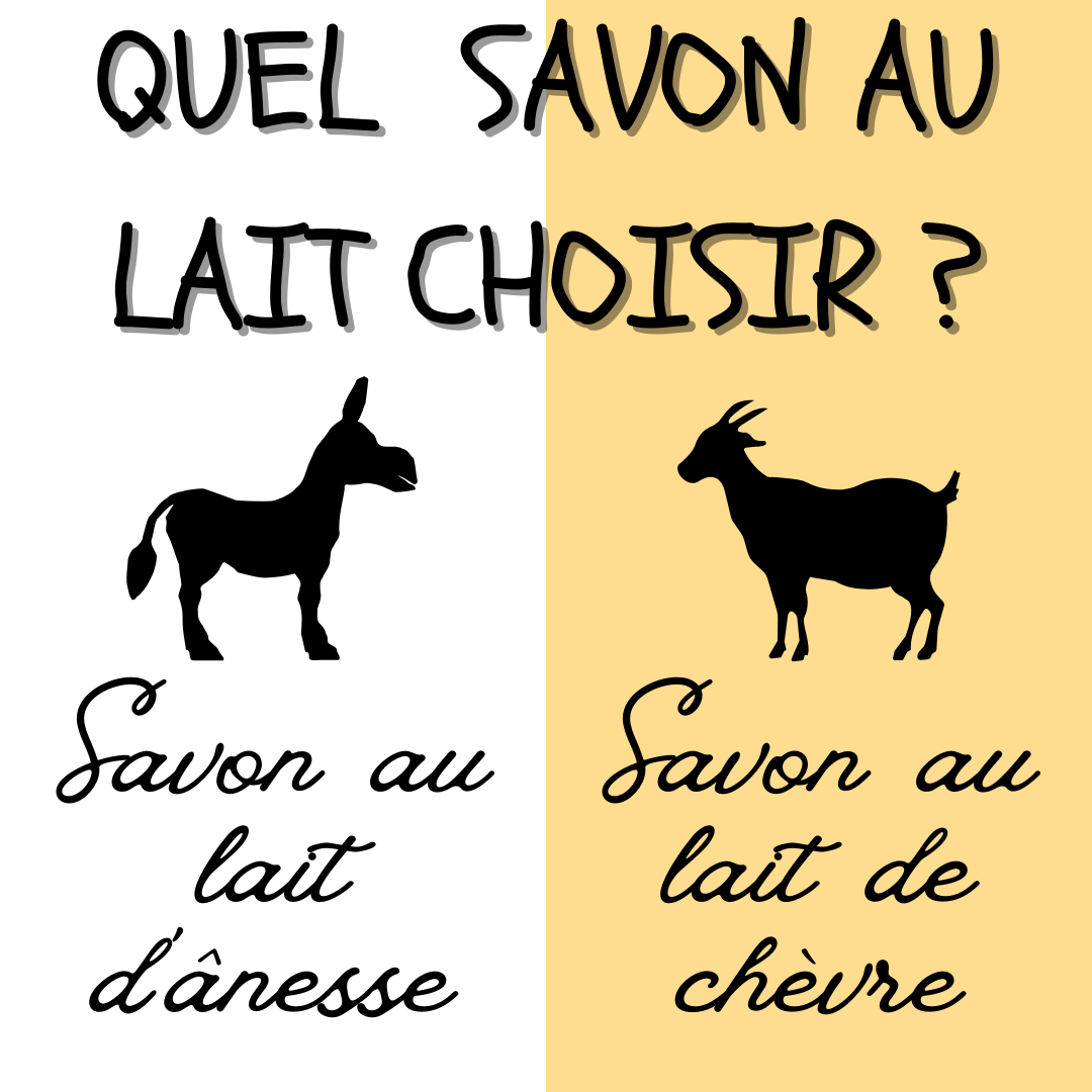 Vous consultez actuellement Quel lait pour quel savon ?